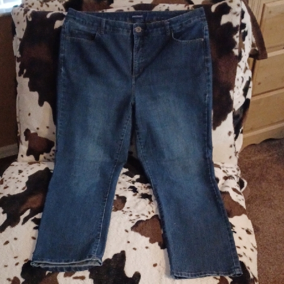 BANDOLINO Women's Blue Jeans, SIZE 16W. - Picture 1 of 10